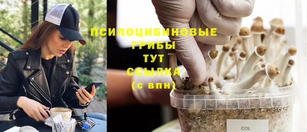 дмт Абдулино