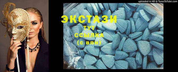 сатива Каменка