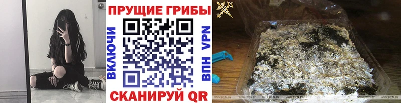 Галлюциногенные грибы мухоморы  Холм 