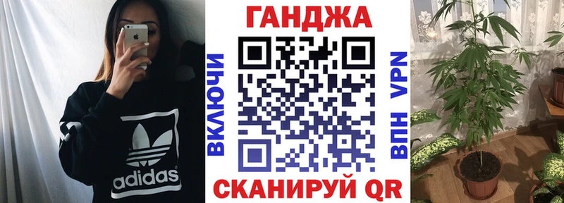 МАРИХУАНА сатива  Холм 